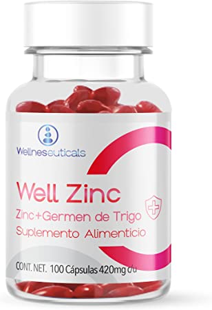 WELL ZINC 100 CAP 420MG